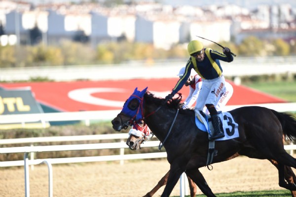 Başkentte Cumhuriyete Yakışan Mücadele! Safkanlardan Muhteşem Sezon Finali
